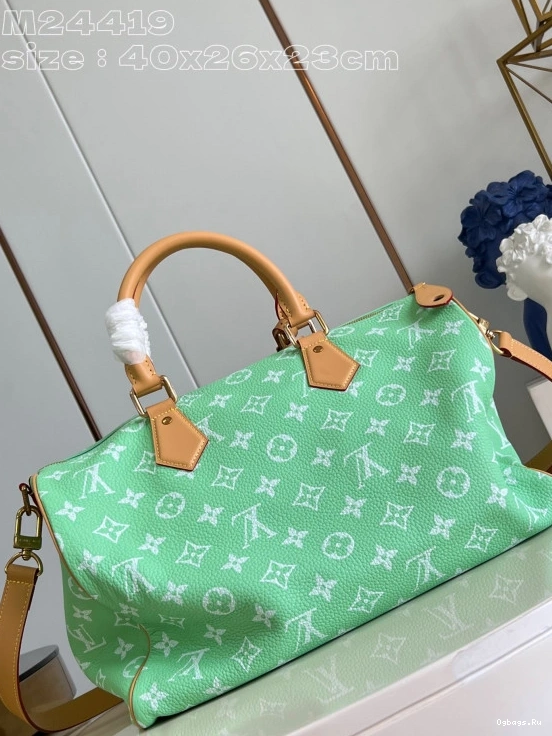 SPEEDY Vuitton 40 Louis 1218
